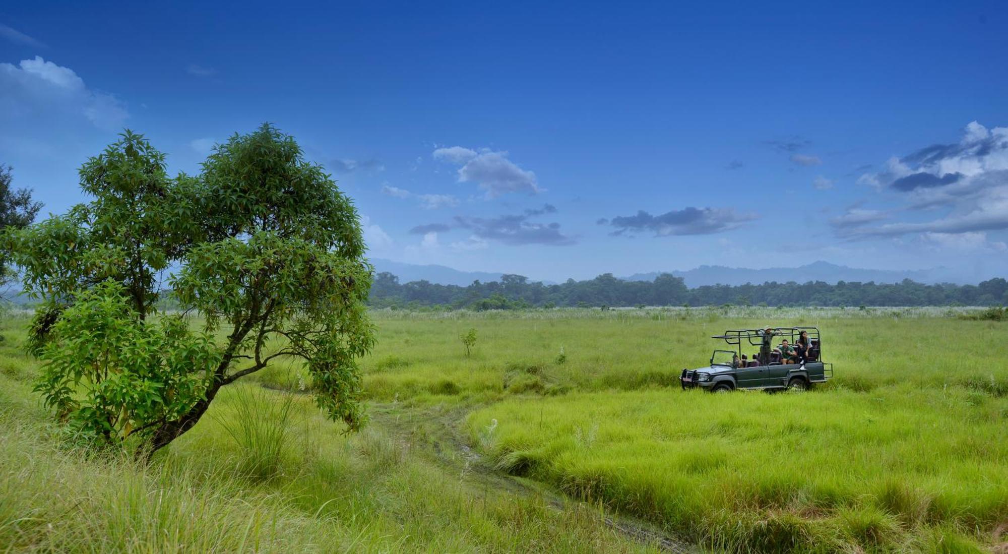 Barahi Jungle Lodge Meghauli Dış mekan fotoğraf