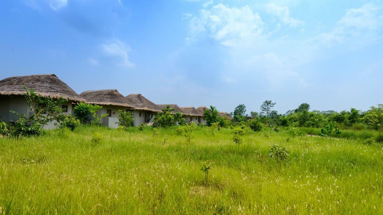 Barahi Jungle Lodge Meghauli Dış mekan fotoğraf