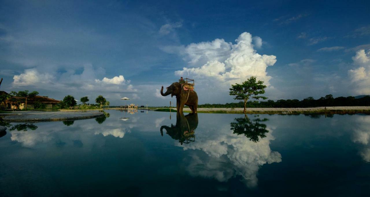 Barahi Jungle Lodge Meghauli Dış mekan fotoğraf